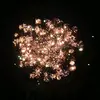 Daniel Jankowski - @daniel.jankowski1 - TikTok