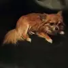 Daniel Janota - @daniel.janota0 - TikTok