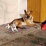 Daniel Danda Janoušek - Facebook