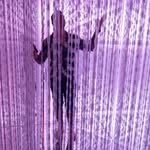 Daniel Jansky - @dajansky - Instagram