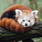 Daniel Jaros - @daniel.jaros.127 - Instagram