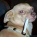 Daniel Jaros - Facebook