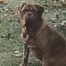 Daniel Jobe - Facebook