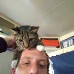 Daniel Johannes Diedenhoven - @danieldiedenhoven - Instagram