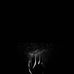 Daniel Johnson - Facebook