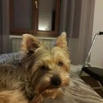 Daniel Joubert - Facebook