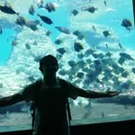 Daniel Joubert - @joubert507 - Instagram