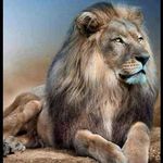 Daniel Kading - @danielkading - Instagram