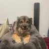daniellakalaieee - @daniellakal8 - TikTok