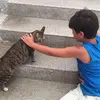 Daniel_kamal - @daniel_kamal - TikTok