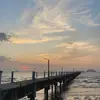 daniell.kamal - @daniell.kamal - TikTok
