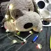Dani grappy D - @daniel.kampfer - TikTok