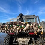 Daniel Kampfer - @therealsmilingmallard - Instagram