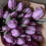 Daniel Kanarek - @kanarekdaniel - Instagram