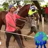 Daniel kapo - @danielalejandro8674 - TikTok