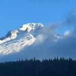 Daniel Kappes - @danray25 - Instagram