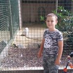 Daniel Kappes - @daniel.kappes.1466 - Instagram