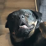 Daniel Kapuscinski - @daniel_kap - Instagram