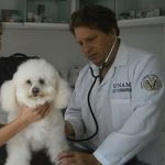 Daniel Karasik - @danielkarasikmedicoveterinario - Instagram