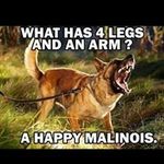 Daniel  Karch - @danielakarch - Instagram