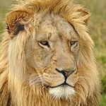 Daniel Karcz - @daniel_karcz - Instagram