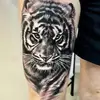 danielo karcz - @danielo.karcz - TikTok