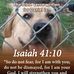 Daniel Karpinski - Facebook