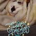 Daniel Karr - Facebook