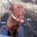 Kasey Daniels - Facebook
