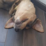 Daniel Kasprzak - @kasztanek365 - Instagram