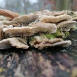 Daniel Kastner - @kassi1406 - Instagram