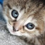 Daniel Kaszuba - @danielplwww - Instagram