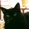 DanielsKatina - @katladyd - TikTok