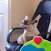 Daniel James Kavanagh - Facebook