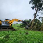 Daniel Kavanagh - @arbor_earth - Instagram