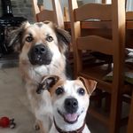 Daniel Kavanagh - @kava.dan - Instagram