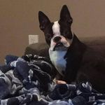 Daniel Keener - @danielkeener75 - Instagram