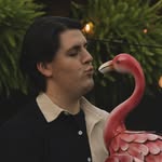Daniel Kees - @dan_kees - Instagram