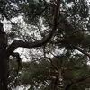 daniellekellum - @daniellekellum - TikTok