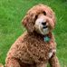 Dan Kemnitz - Facebook
