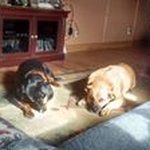 Daniel Kemnitz - @kemnitzdaniel - Instagram