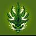 Daniel Kempey - Facebook