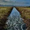 danielkempen - @daniel.pkempen - TikTok