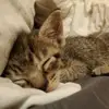 danielkempf107 - @danielkempf107 - TikTok