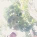 Kenley Daniel - Facebook