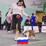Оксана Данильчук - @kennel_daniel_street - Instagram