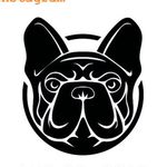 Daniel_Kennel - @danny_frenchs - Instagram