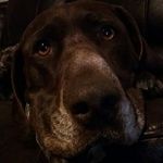 Daniel Kennett - @daniel.kennett.37 - Instagram