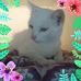 Danny Lamarr Keplinger - Facebook