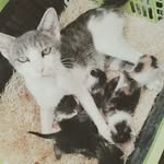 Daniel Kerbel - @kerbeldaniel - Instagram